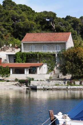 Apartments by the sea Pomena, Mljet - 10426